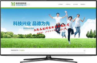 專業(yè)松江網(wǎng)站建設(shè) 上海品劃網(wǎng)絡(luò)公司助您打造卓越在線形象